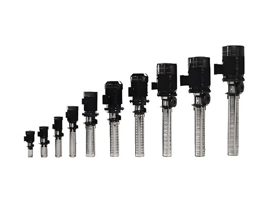 Alternative à la pompe immersible de la série Grundfos MT; équivalent de la pompe centrifugeuse à plusieurs étages verticale Grundfos